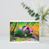 Bär Postkarte (Stehend Vorderseite)