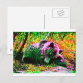 Bär Postkarte (Vorne/Hinten)