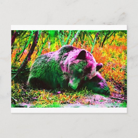 Bär Postkarte (Vorderseite)