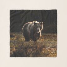 Bär