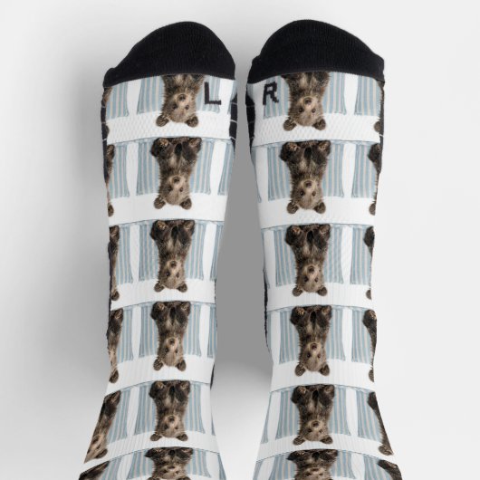 Bär Socken (Oben)