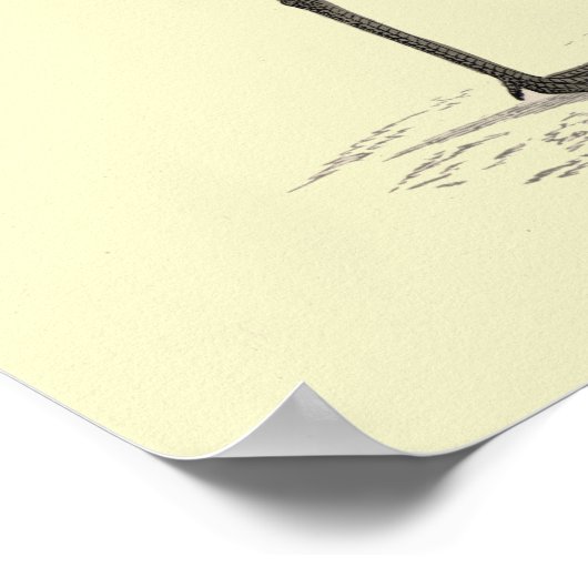 BAR-TAED-GODWIT-DRUCKER POSTER (Ecke)