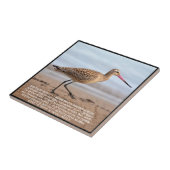 Bar-tailed Godwit Fliese (Seite)