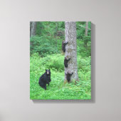 Bär & Three Cubs - Canvas Print - Kessea Leinwanddruck (Vorderseite)