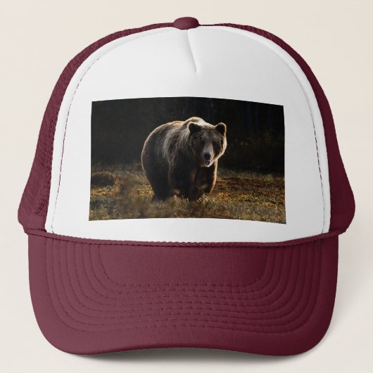 Bär Truckerkappe (Vorderseite)