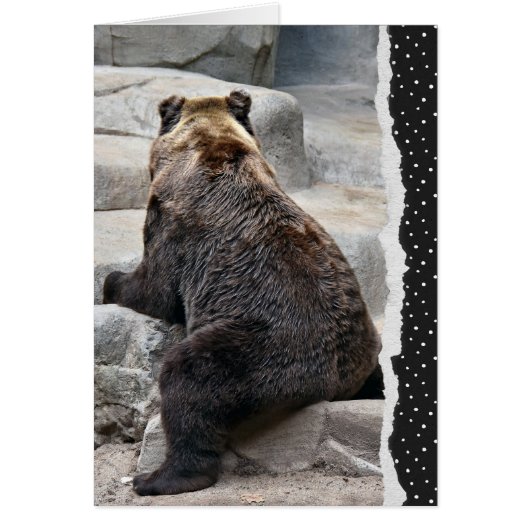 Bär, um bald wieder gesund zu werden (Vorne)