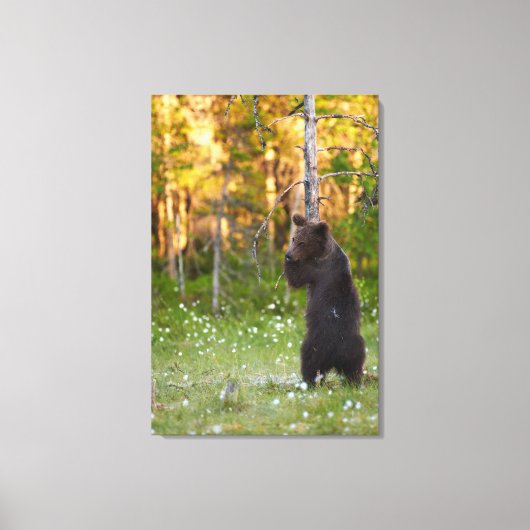 Bär und Baum Leinwanddruck (Vorderseite)