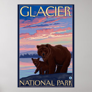 Bär und Cub - Glacier National Park, MT Poster