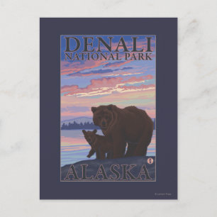 Bär und Cub - Nationalpark Denali, Alaska Postkarte