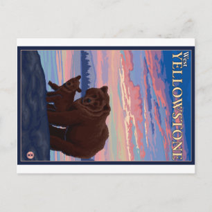 Bär und Jungtier - West Yellowstone, Montana Postkarte