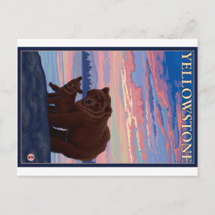 Bär und Jungtier - Yellowstone Nationalpark Postkarte