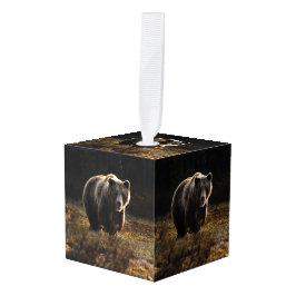 Bär Würfelornament