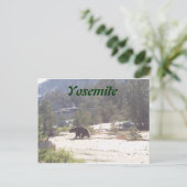 Bär, Yosemite Postkarte (Stehend Vorderseite)