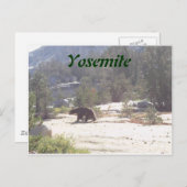 Bär, Yosemite Postkarte (Vorne/Hinten)
