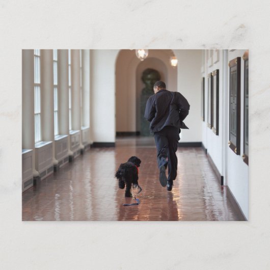 Barack & Bo Obama Postkarte (Vorderseite)