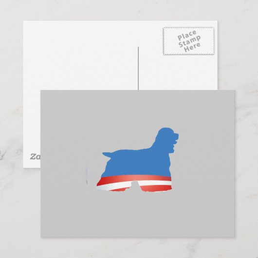 BARACKER SPANIEL POSTKARTE (Vorne/Hinten)