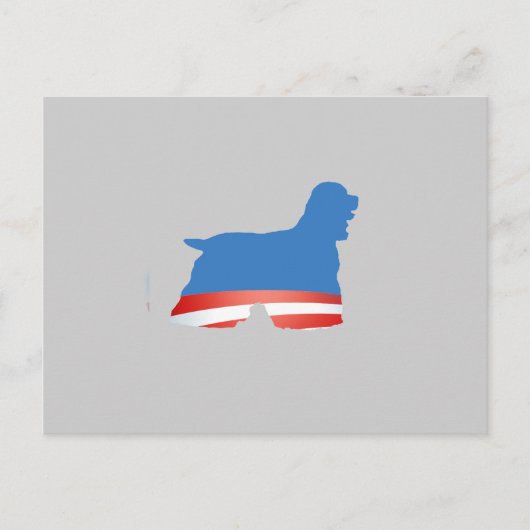 BARACKER SPANIEL POSTKARTE (Vorderseite)