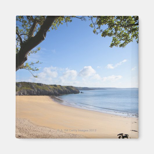 Barafundle Bay Pembroke Pembrokeshire Coast Magnet (Vorne)