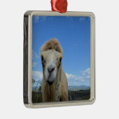 Baraka der lächelnde Kamelschmuck Ornament Aus Metall (Rechts)