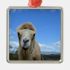 Baraka der lächelnde Kamelschmuck Ornament Aus Metall