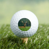 Barasingha Hirsche Golfball (Insitu T-Shirt)