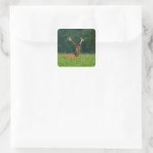 Barasingha Hirsche Quadratischer Aufkleber (Tasche)