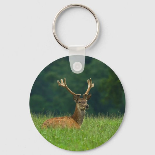 Barasingha Hirsche Schlüsselanhänger (Vorderseite)