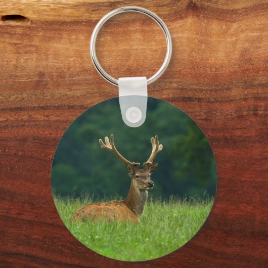 Barasingha Hirsche Schlüsselanhänger (Vorderseite)