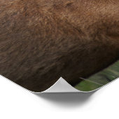 Barasingha oder Barasinga (Rucervus Poster (Ecke)