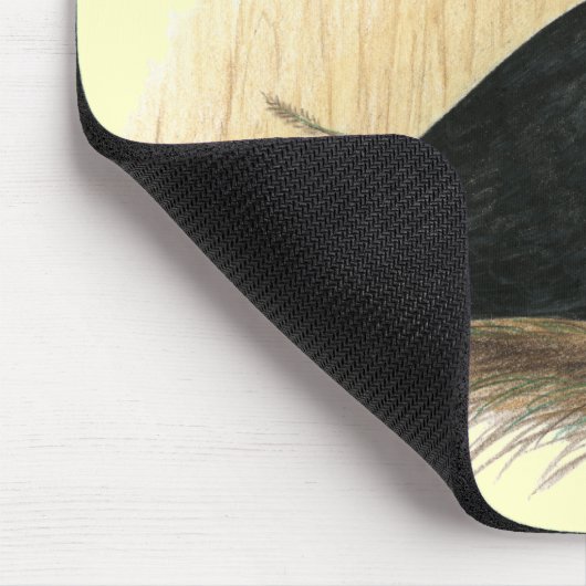 Barb Pigeon Standard Black Mousepad (Ecke)