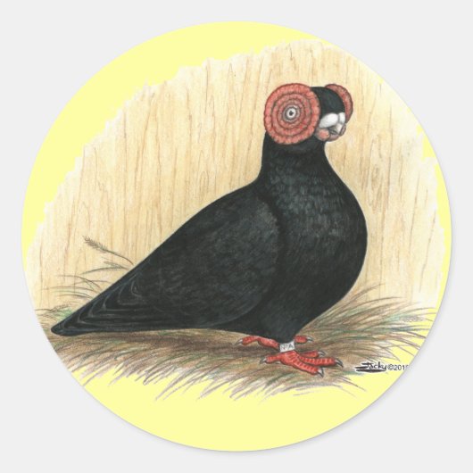 Barb Pigeon Standard Black Runder Aufkleber (Vorderseite)