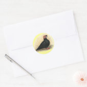 Barb Pigeon Standard Black Runder Aufkleber (Umschlag)