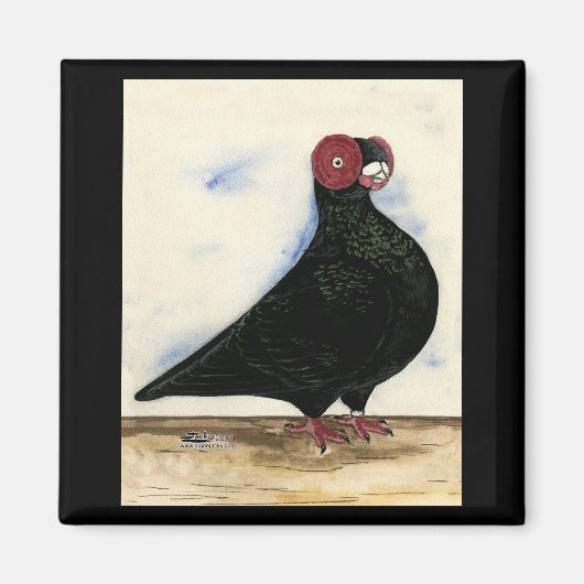 Barb Pigeon Watercolor Magnet (Vorne)