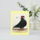 Barb Pigeon Watercolor Postkarte (Stehend Vorderseite)