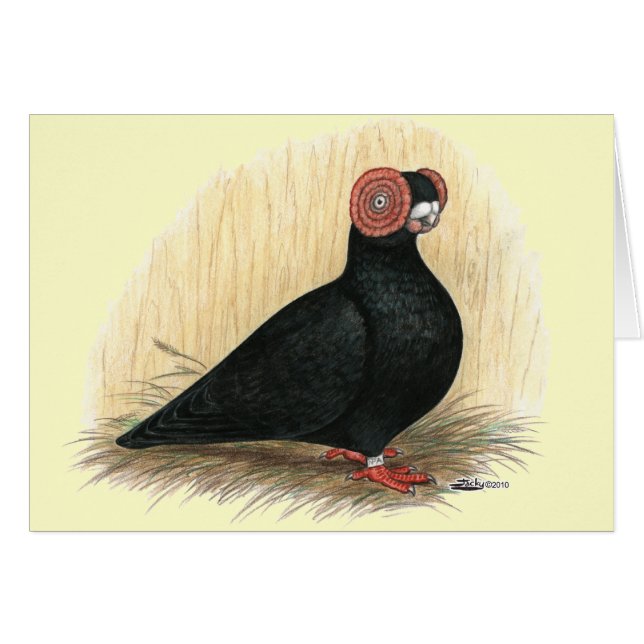Barb: Standard Black (Vorderseite (Horizontal))
