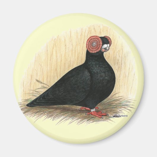 Barb: Standard Black Magnet (Vorne)