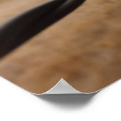 Barb Wire Fence Poster (Ecke)