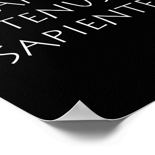 Barba tenus sapientes poster (Ecke)
