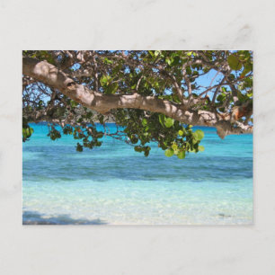 Barbados Beach Landschaft Postkarte