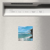 Barbados Beach Magnet (In Situ (Geschirrspüler))