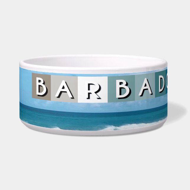 Barbados Beach Napf (Links)