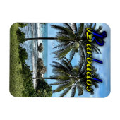 Barbados Beach Palm Trees Magnet (Horizontal)