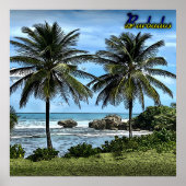 Barbados Beach Palm Trees Poster (Vorne)