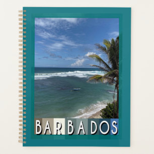Barbados Beach Planer
