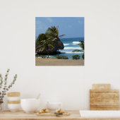 Barbados Beauty Poster (Küche)