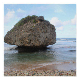 Barbados Big Rock in Bathsheba Poster