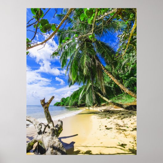 Barbados Caribbean Island Beach Palm Tree Retreat Poster (Vorne)