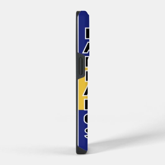 Barbados Flag iPhone 14 Pro Fall iPhone Hülle (Rechte Seite)