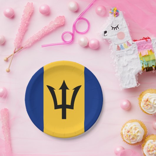 Barbados Flag Teller, Party, Sport, Barbados Pappteller