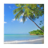 Barbados Fliese (Vorderseite)